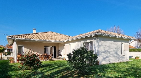 20241127_113313_resized